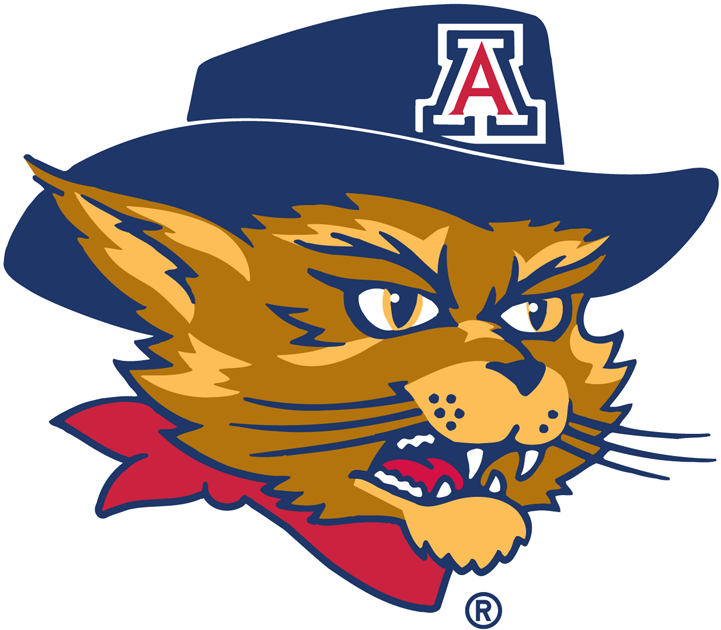 Arizona Wildcats 2003-Pres Mascot Logo v6 iron on transfers for T-shirts